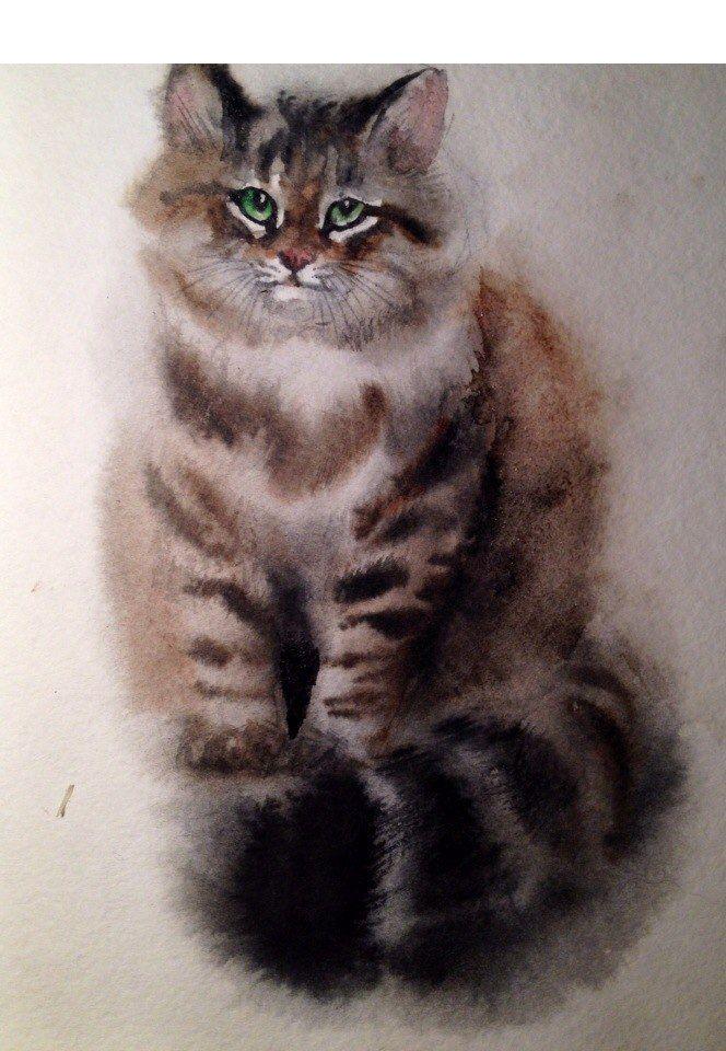Как да нарисувате сибирска котка в акварел