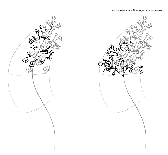 Как нарисовать ветку сирени поэтапно
