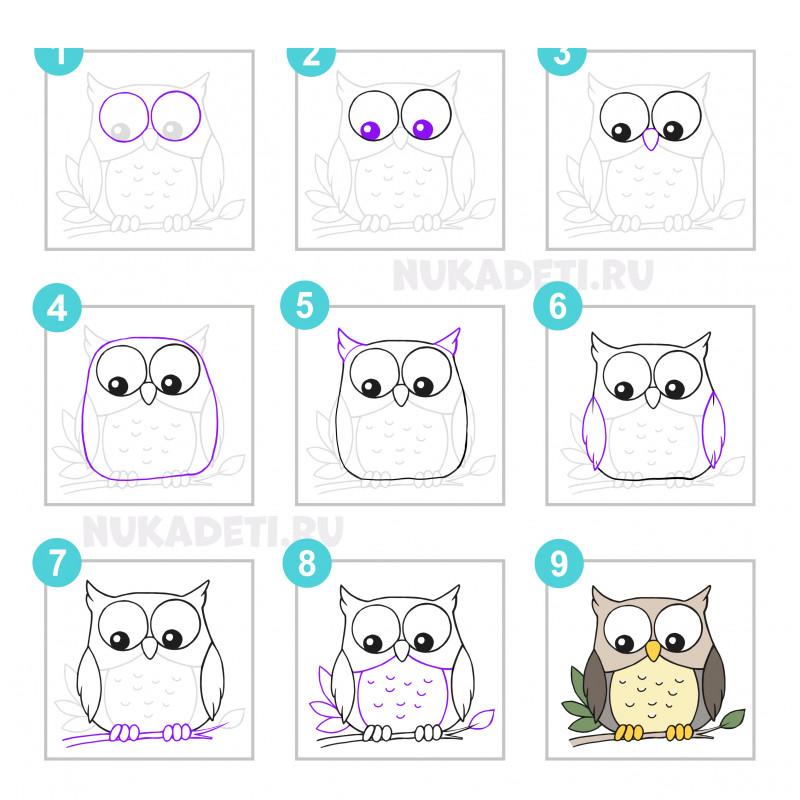 Hoe teken je een uil voor kinderen