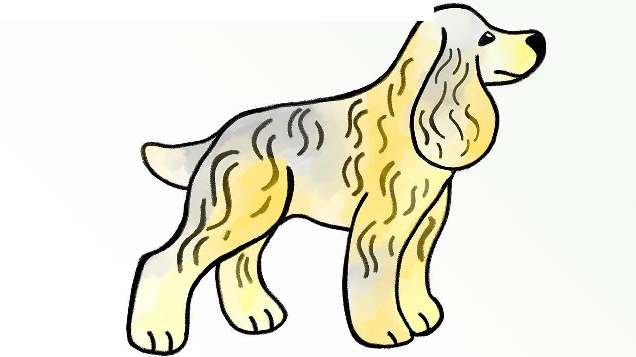 如何畫一隻西班牙獵犬