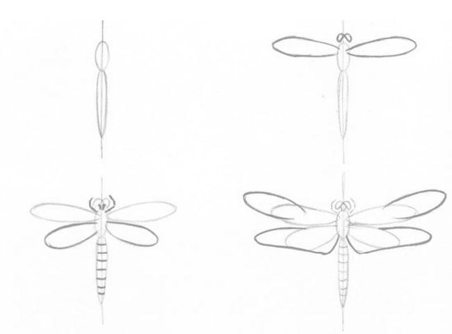 Как нарисовать стрекозу карандашом поэтапно