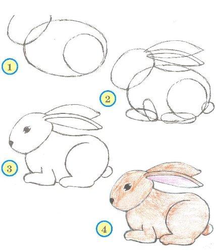 Како да нацртате зајак - многу едноставна инструкција [ФОТО]