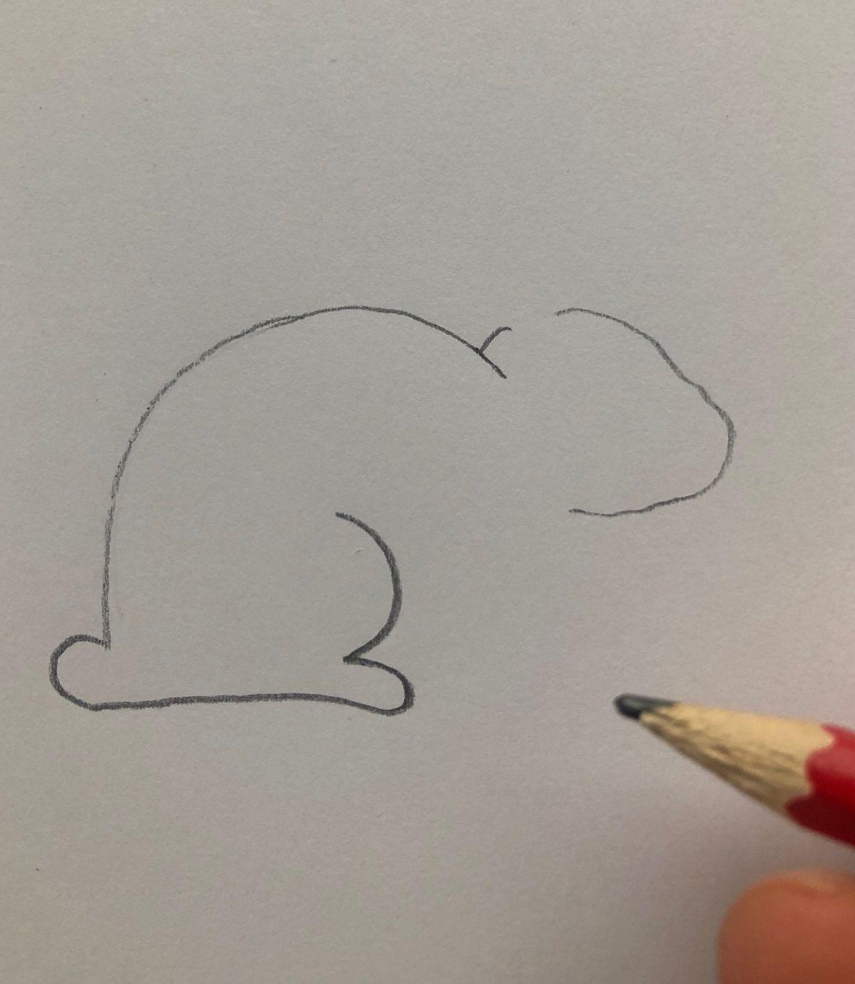 Как нарисовать зайца — очень простая инструкция [ФОТО]
