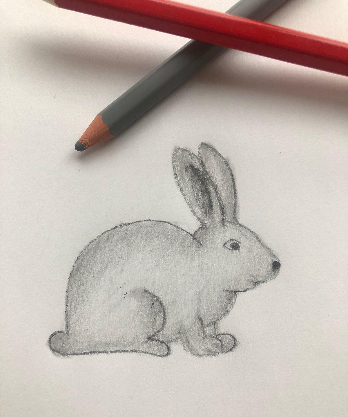 Как нарисовать зайца — очень простая инструкция [ФОТО]