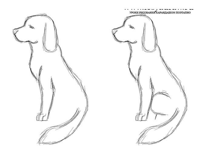 Как просто и легко нарисовать собаку