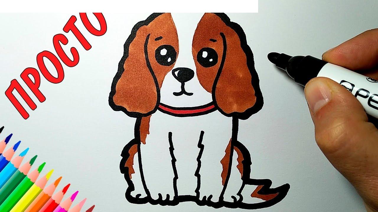 Как просто и легко нарисовать собаку