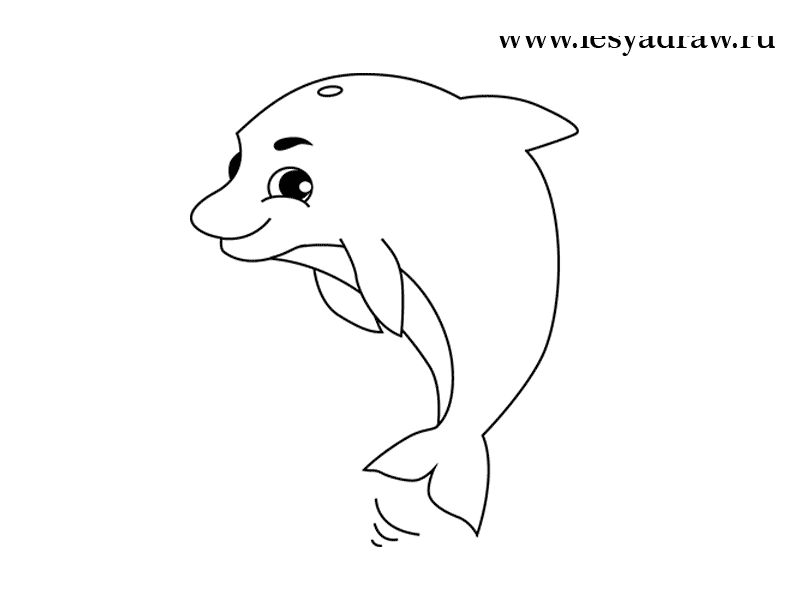 Cum să desenezi un pui de delfin