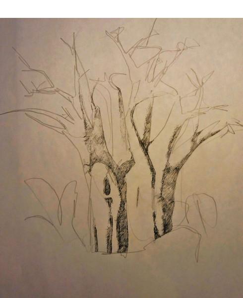 Как рисовать дерево ручкой. Рисуем баобаб