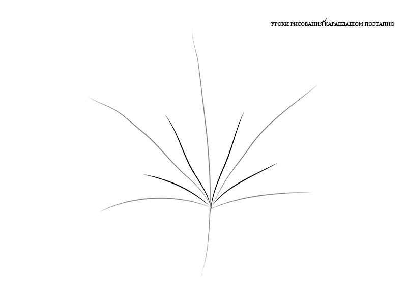 Как рисовать осенние листья