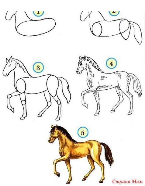 Картинки лошадь, конь для срисовки