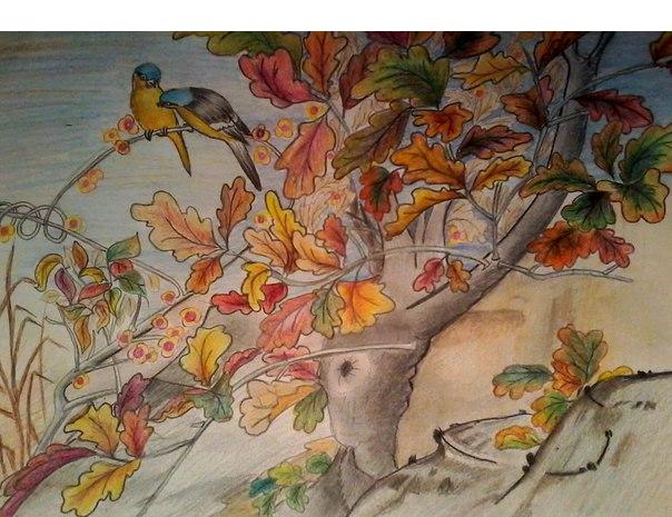 Конкурс «Рисунок на тему Осень» с 22.11 по 29.11