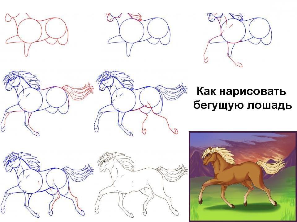 Galop de alergare a cailor - cum se desenează