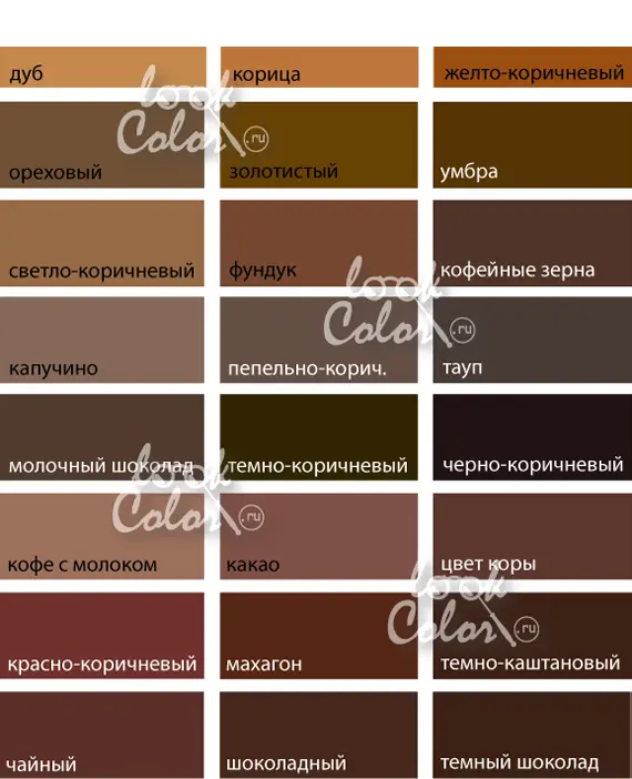 Shades of brown