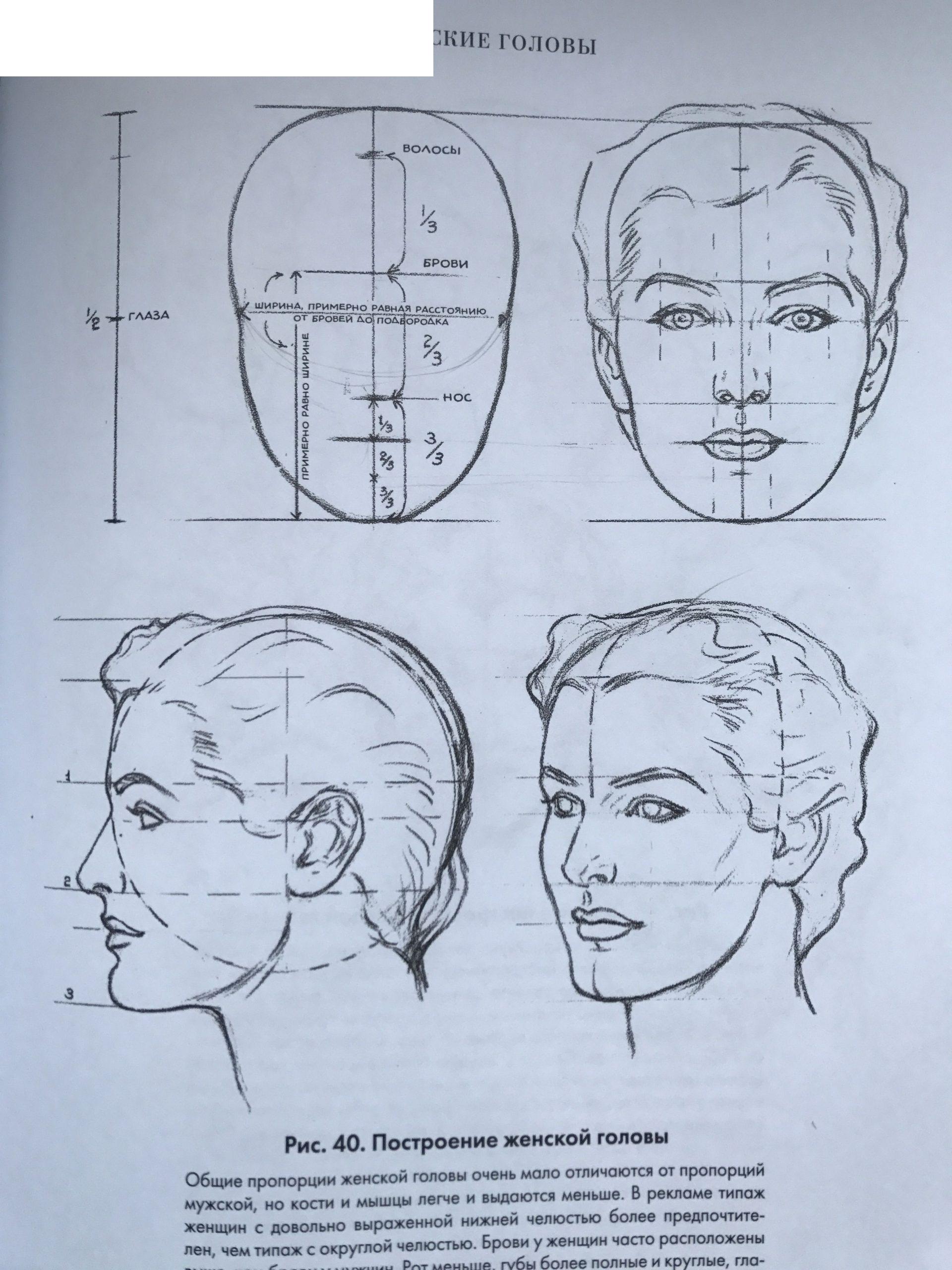 Constructie van het hoofd volledig gezicht (voorkant) volgens Andrew Loomis