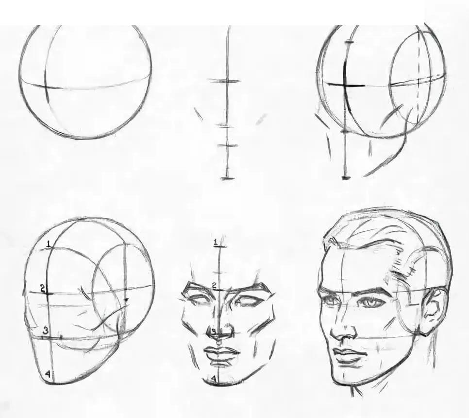 Construirea unui cap în profil conform lui Andrew Loomis