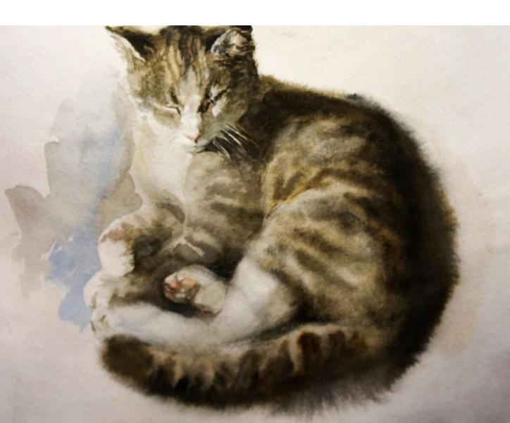 Рисуем кошку акварелью поэтапно