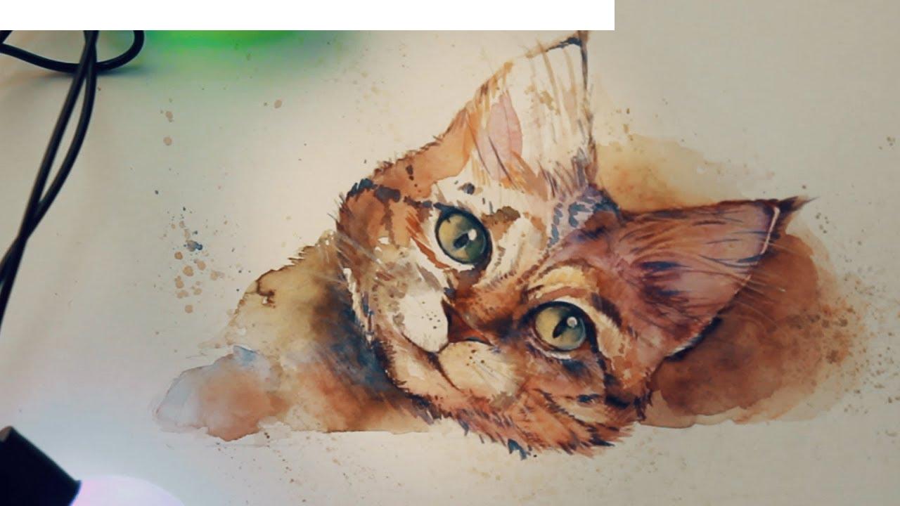 Kako nacrtati mačku u akvarelu korak po korak