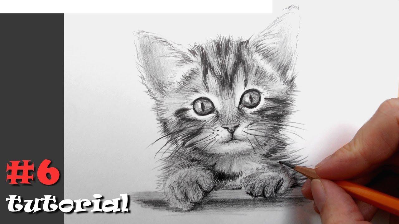 Tegn en kattunge med en blyant trinn for trinn for nybegynnere