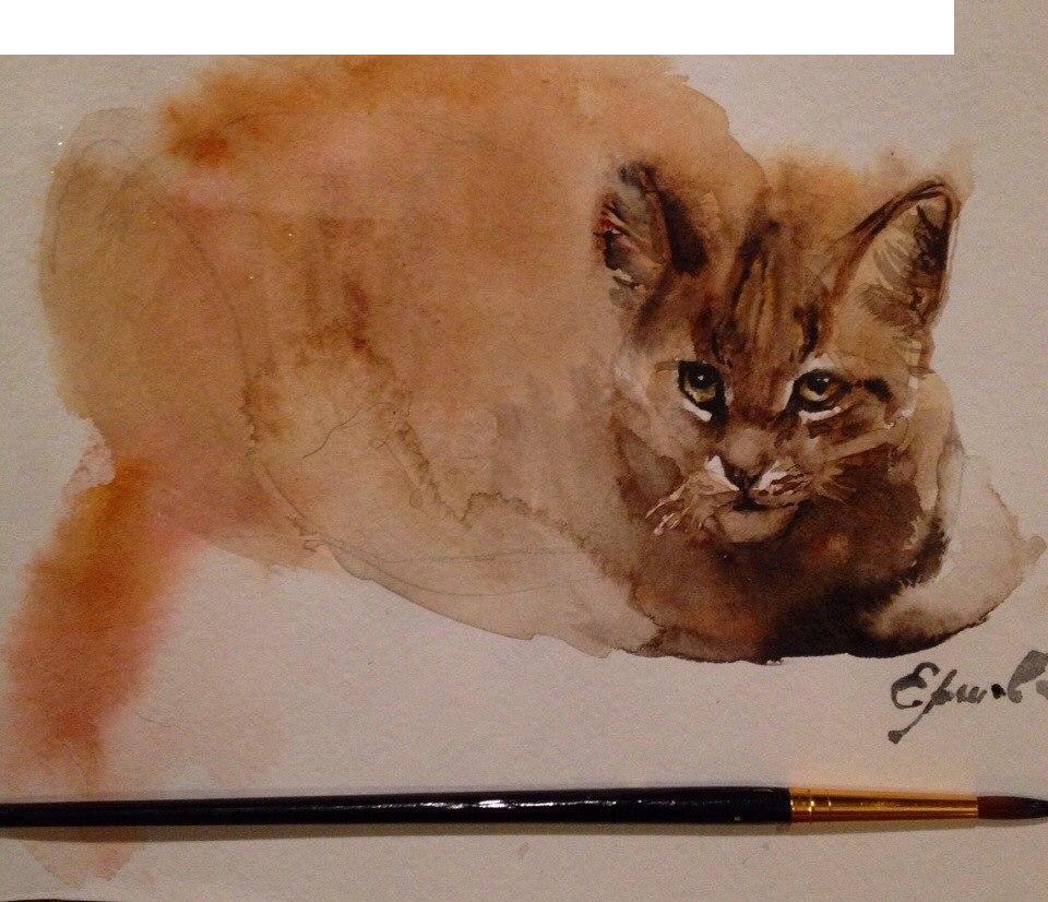 Desenho da vida em aquarela. Desenhe um gato vermelho