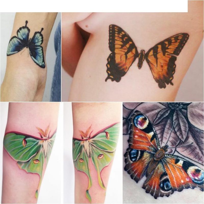 Тату Бабочка — Идеи и Значение Татуировки Бабочка