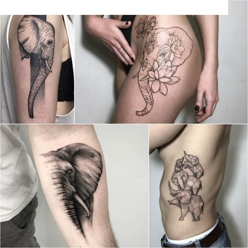 Olifant Tattoo - Betekenis van Olifant Tattoo