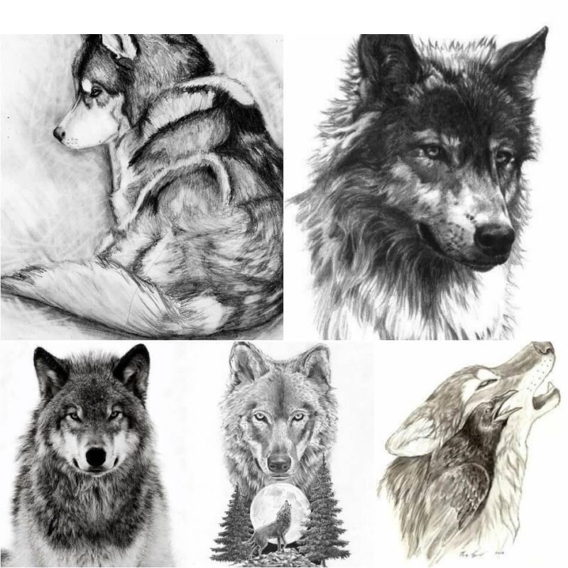 Тату волк — Тату Волка Значение и Эскизы