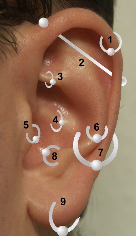 Erinevat tüüpi kõrvaaugud